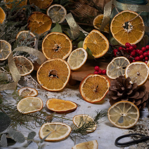 naranjas-y-limones-deshidratados