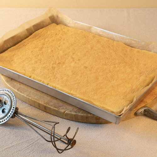 plancha de bizcocho